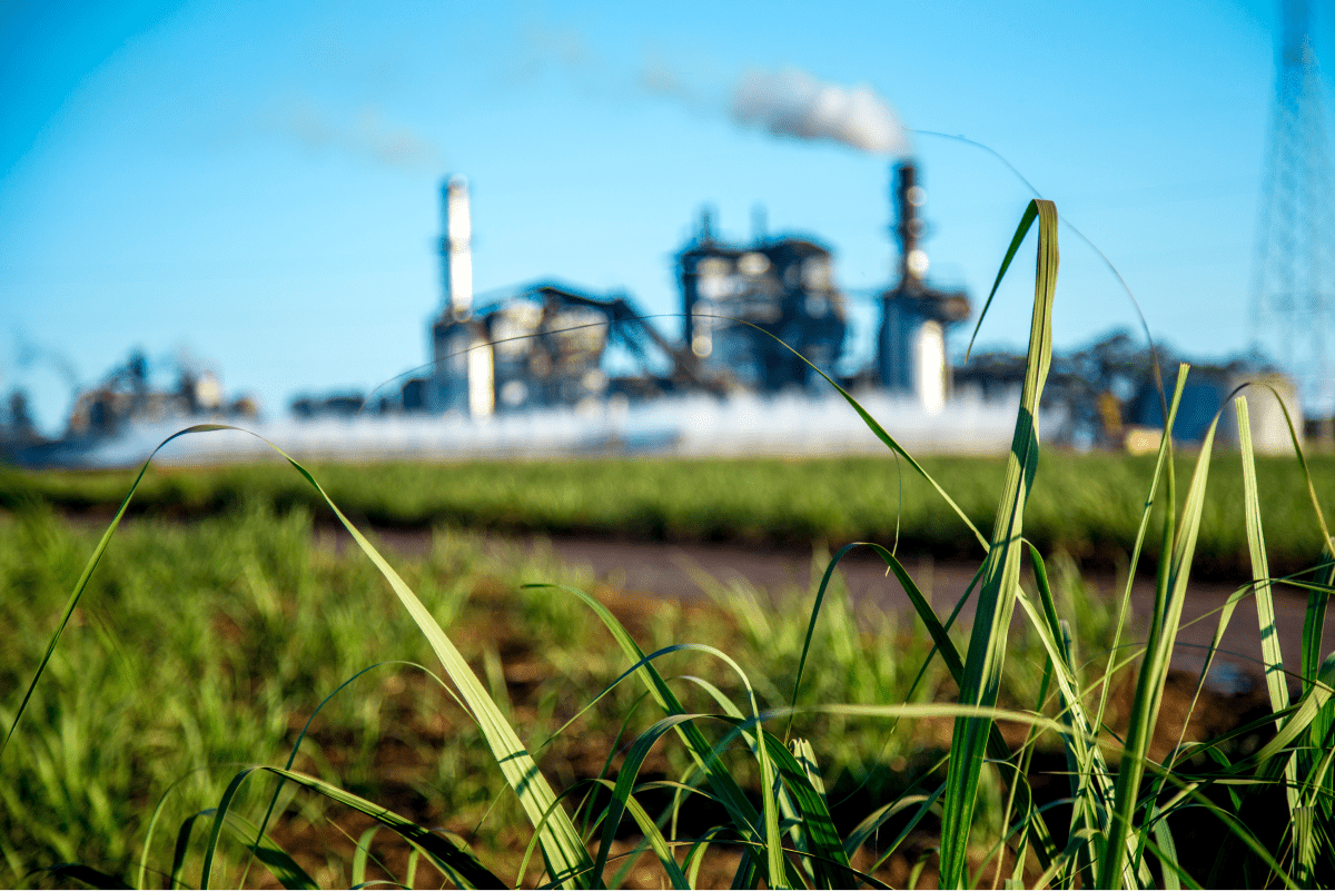 Environmental remediation